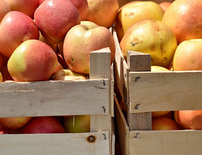 Перевозка фруктов — цены на доставку фруктов в 1-й Транспортной фото №1