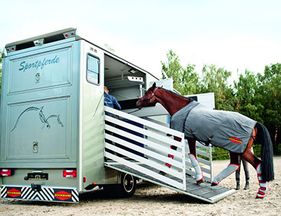 Перевозка лошадей — цены на транспортировку коней в 1-й Транспортной фото №1