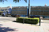 Перевозка овец — цены на транспортировку овец в 1-й Транспортной фото №3