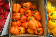 Перевозка овощей - цены на доставку овощей в 1-й Транспортной фото №3