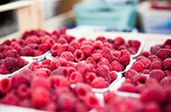 Перевозка ягод — цены на доставку ягод в 1-й Транспортной фото №2