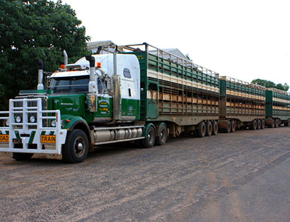 Перевозка домашнего скота — выгодные цены от 1-й Транспортной фото №1