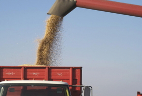 Тарифы на перевозки зерна растут, прибыль падает