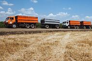 Тарифы на перевозки зерна растут, прибыль падает-3